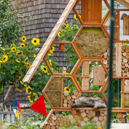 Biodiversitätsgarten und Insektenhotel Biodiversitätsgarten mit Sonnenblumen und Insektenhotel